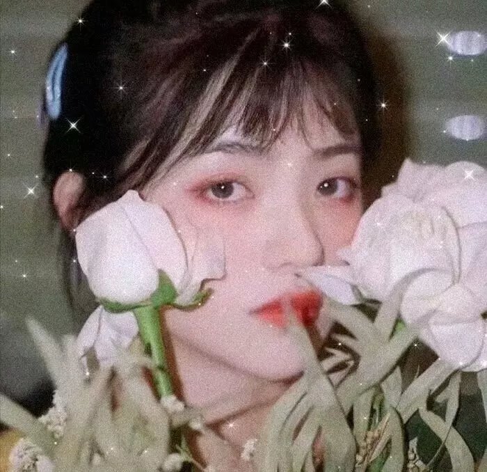 八月的雾